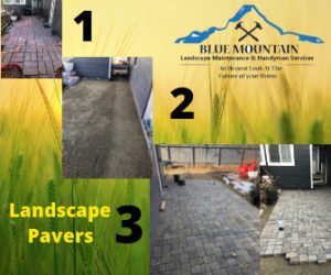 Landscape Maintenance Reno NV