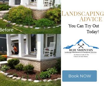 Landscaping Advice You Can Try Out Today!