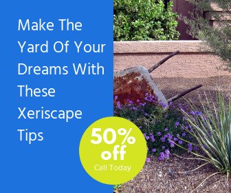 Make The Yard Of Your Dreams With These Xeriscape Tips
