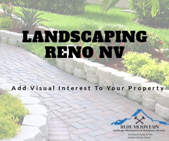 Landscaping Reno NV, Add Visual Interest To Your Property With These Tips