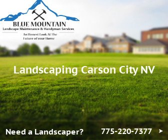 Landscaping Carson City NV: Tips And Tricks For A Great Yard