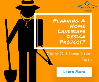 Planning A Home Landscape Design Project? Check Out These Great Tips!