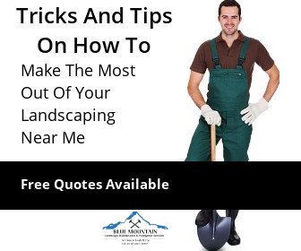 Tricks And Tips On How To Make The Most Out Of Your Landscaping Near Me